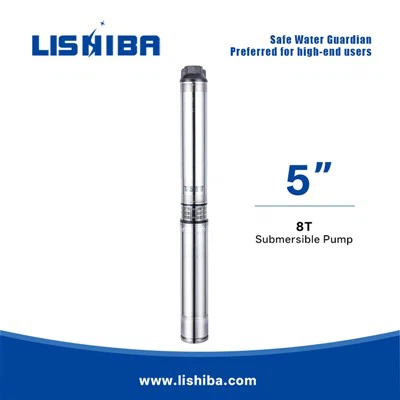 Погрузка на насос Lishiba-высокомерный высокоэффективный водяной насос (сертифицированный CE)
